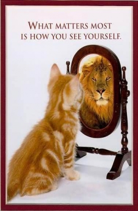 kitten_lion.JPG