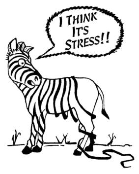 zebra_stress.jpg